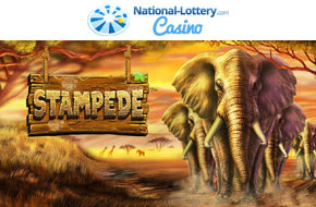 Play Stampede now at National-Lottery.com Casino